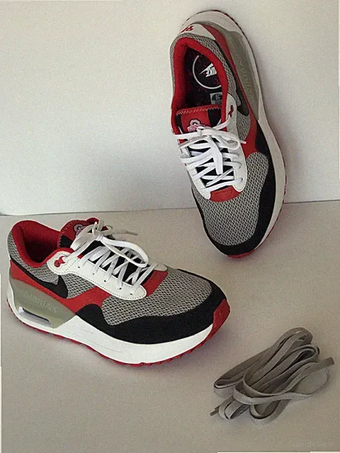 Nike Ohio State Buckeyes College Air Max SYSTM Men Shoe size 10 Mesh Sneaker